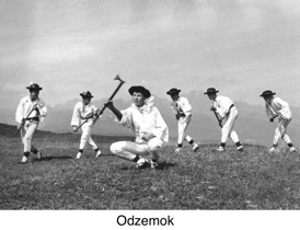 Odzemok - Vonnie Brown