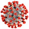 COVID-19 virus
