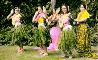 Hula Dancers