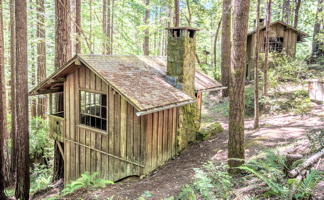 Mendocino Woodland Cabins