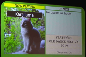 Statewide 2019