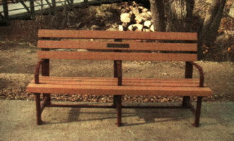 An Alex Wilson's memorial bench and tree