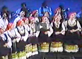 AVAZ Videos