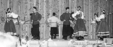 Dolina Cygany, San Diego, California, c1959