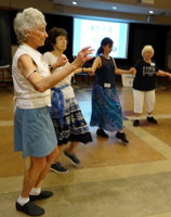 Cerritos Ninth Annual Festival June 16, 2018