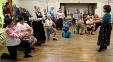Henrietta Bemis Party at Veselo, November 3, 2018