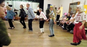 Henrietta Bemis Party at Veselo, November 3, 2018