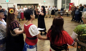 Henrietta Bemis Party at Veselo, November 3, 2018