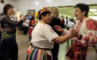Henrietta Bemis Party at Veselo, November 3, 2018